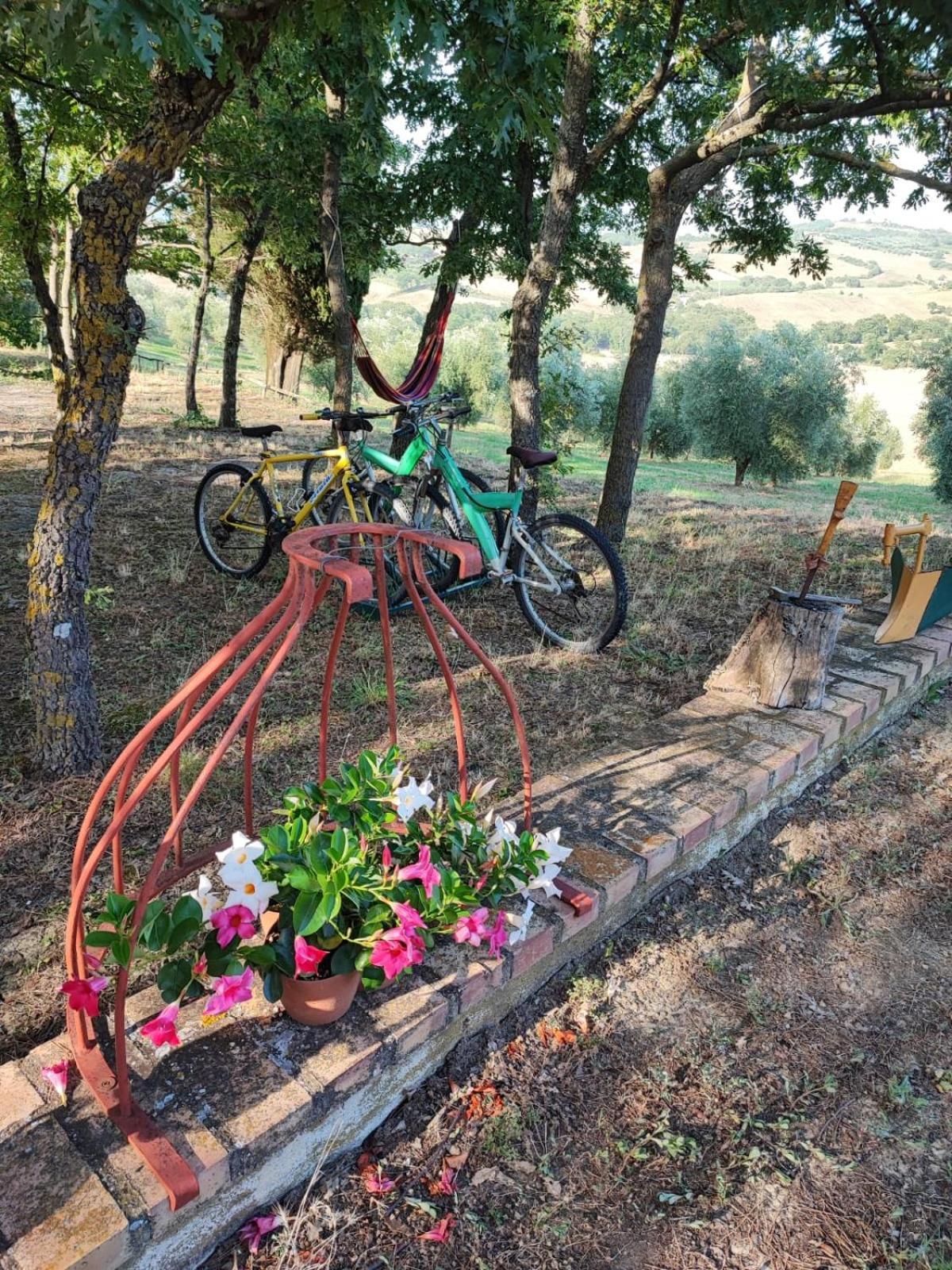 Agriturismo Podere Cherzo Cinigiano Exterior foto